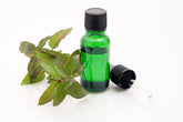 rosemary garden organic herbs and aromatherapy